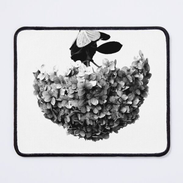 Item preview, Hortensia Hydrangea Flower Black and White designed and sold by anafrancisconi.