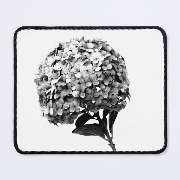 Item preview, Hortensia Hydrangea Flower Black and White designed and sold by anafrancisconi.