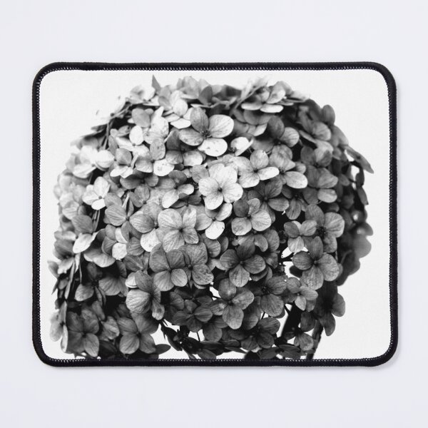 Item preview, Hortensia Hydrangea Flower Black and White designed and sold by anafrancisconi.