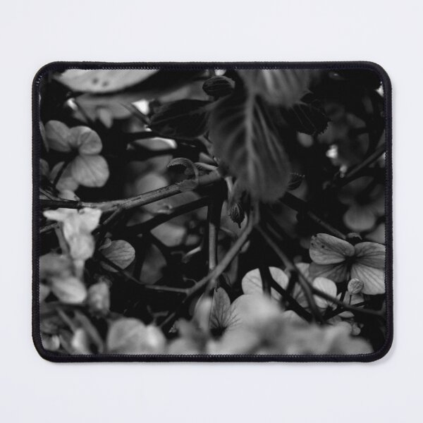 Item preview, Hortensia Hydrangea Flower Black and White designed and sold by anafrancisconi.