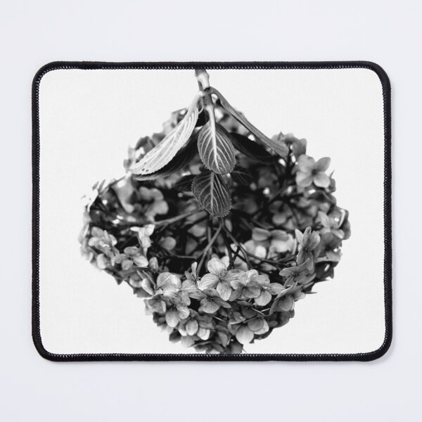Item preview, Hortensia Hydrangea Flower Black and White designed and sold by anafrancisconi.