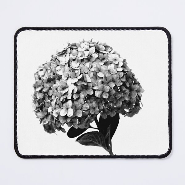 Item preview, Hortensia Hydrangea Flower Black and White designed and sold by anafrancisconi.