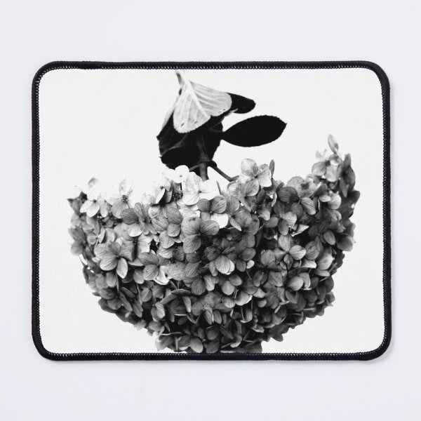 Item preview, Hortensia Hydrangea Flower Black and White designed and sold by anafrancisconi.