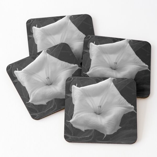 Item preview, Dramatic White Moonflower designed and sold by Sam Morrison.