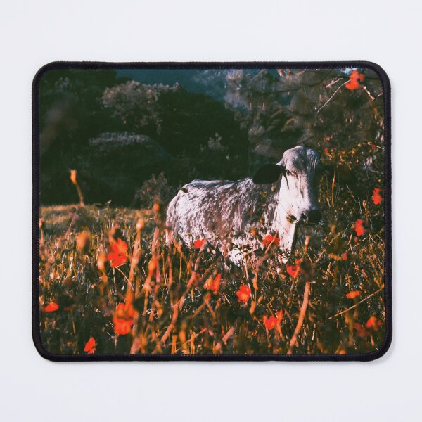 Item preview, Cow designed and sold by anafrancisconi.