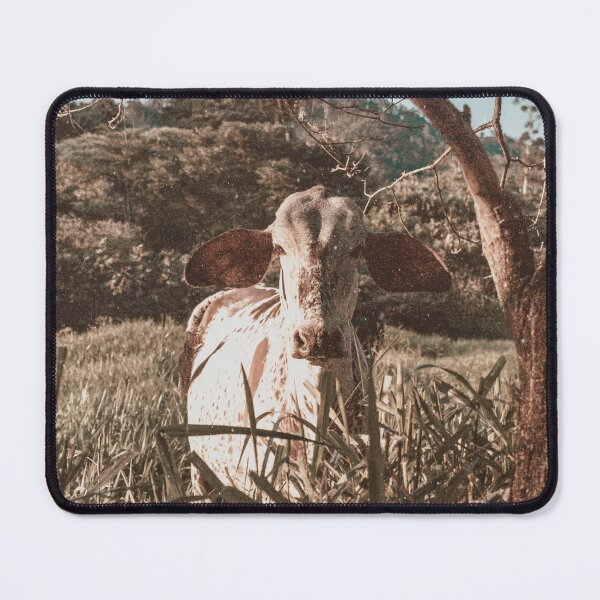Item preview, Cow designed and sold by anafrancisconi.