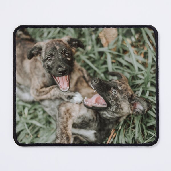 Item preview, Dogs designed and sold by anafrancisconi.