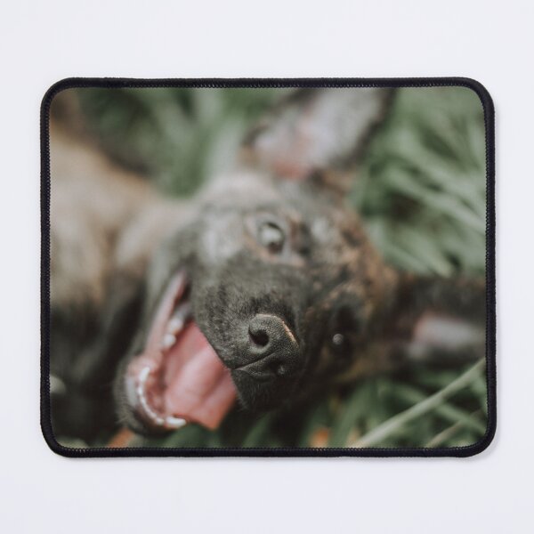Item preview, Dog designed and sold by anafrancisconi.