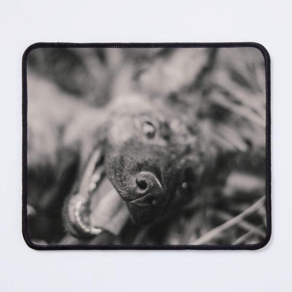 Item preview, Dog designed and sold by anafrancisconi.