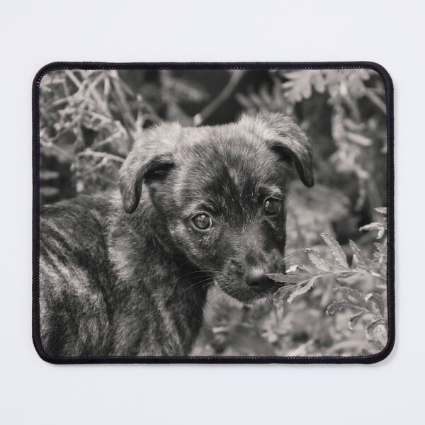 Item preview, Cute Dog designed and sold by anafrancisconi.