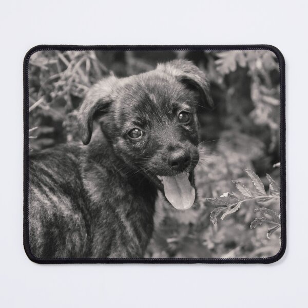 Item preview, Happy Dog designed and sold by anafrancisconi.