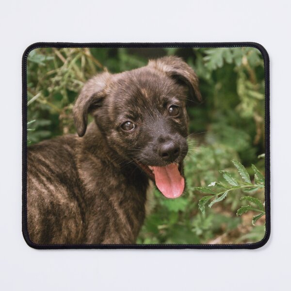 Item preview, Happy Dog designed and sold by anafrancisconi.
