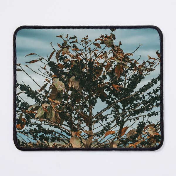 Item preview, Coffea designed and sold by anafrancisconi.