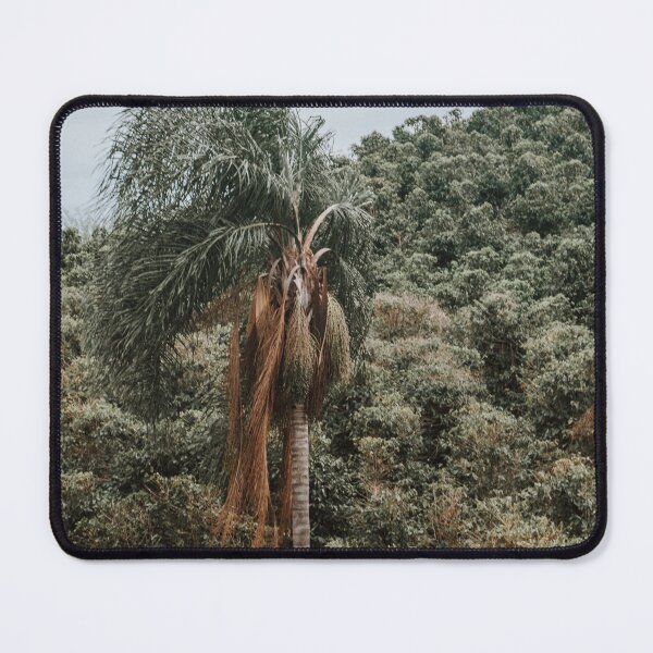 Item preview, Coffea and Palm Tree designed and sold by anafrancisconi.