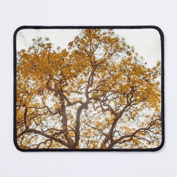 Item preview, Yellow Tree designed and sold by anafrancisconi.