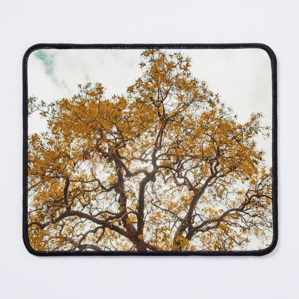 Item preview, Yellow Tree designed and sold by anafrancisconi.