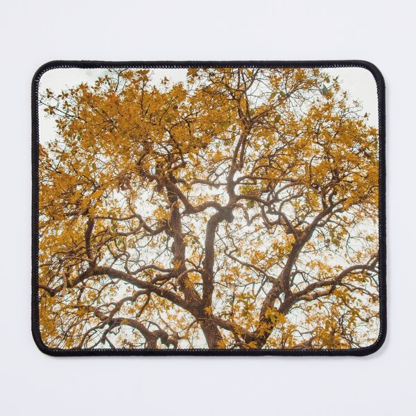 Item preview, Yellow Tree designed and sold by anafrancisconi.
