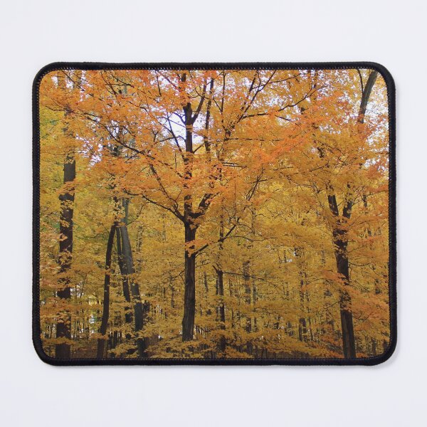 Item preview, Inviting Hard Woods in Fall designed and sold by Susie Kramer.
