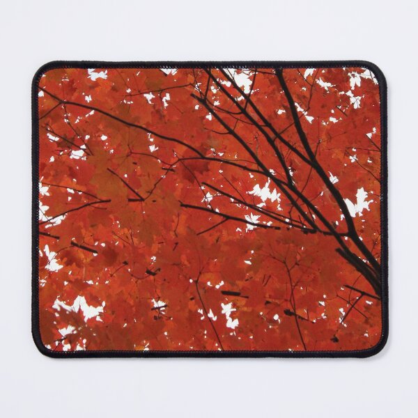 Item preview, Red Maple Leaves designed and sold by Susie Kramer.
