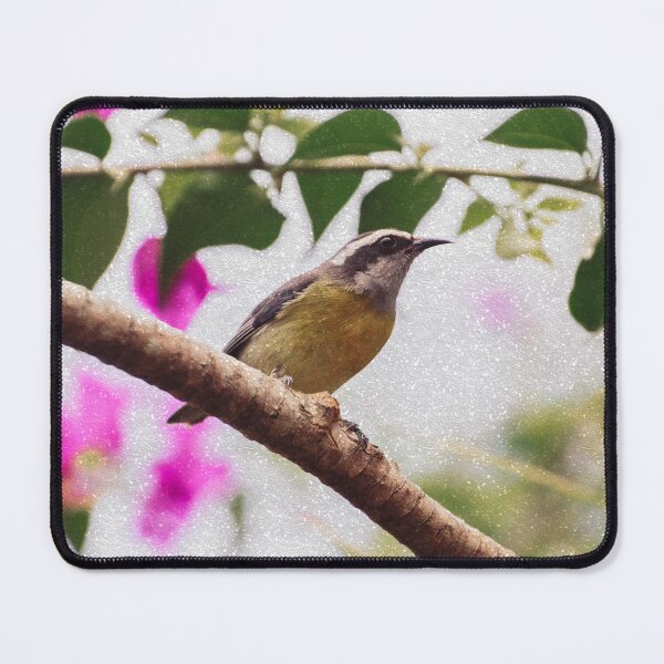 Item preview, Bird -Photography Paper Effect designed and sold by anafrancisconi.