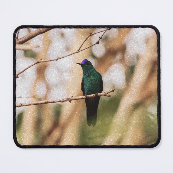 Item preview, Bird -Photography Paper Effect designed and sold by anafrancisconi.