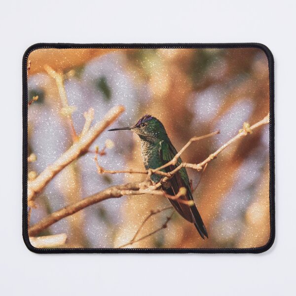 Item preview, Bird -Photography Paper Effect designed and sold by anafrancisconi.