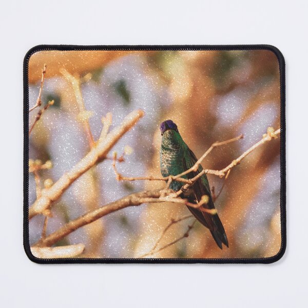 Item preview, Bird -Photography Paper Effect designed and sold by anafrancisconi.