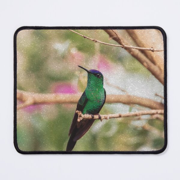 Item preview, Bird -Photography Paper Effect designed and sold by anafrancisconi.