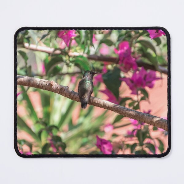 Item preview, Colibri designed and sold by anafrancisconi.