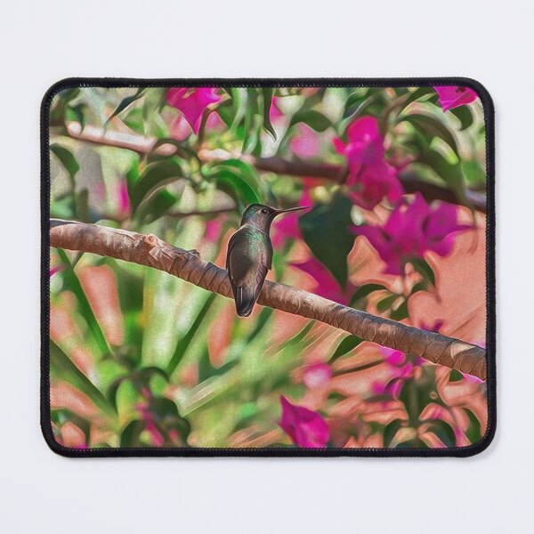 Item preview, Colibri designed and sold by anafrancisconi.