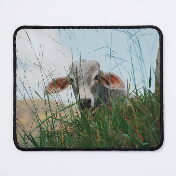 Item preview, Cow designed and sold by anafrancisconi.