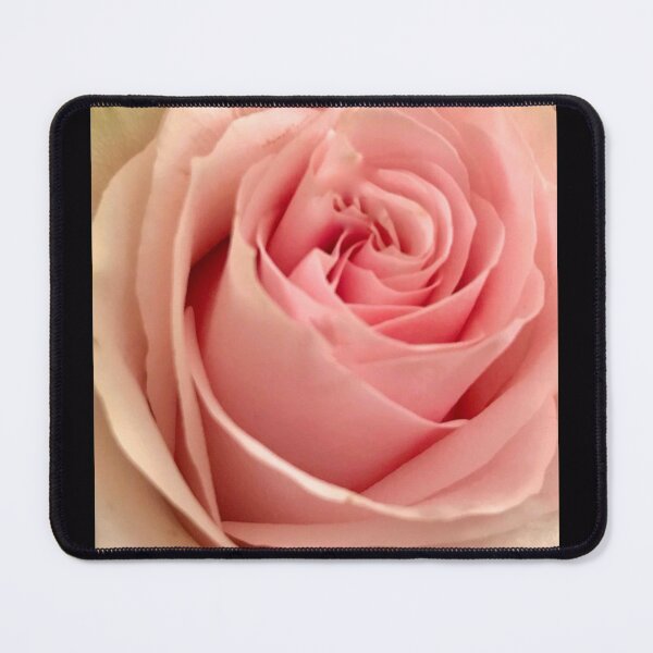 Item preview, Pink Rose designed and sold by lpolitano.