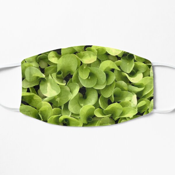 Green Shoots Salad Fresh Detail Photo Flat Mask