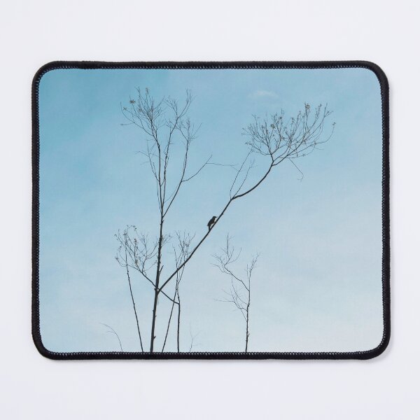 Item preview, Woodpecker designed and sold by anafrancisconi.