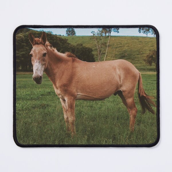 Item preview, Donkey - Animal designed and sold by anafrancisconi.