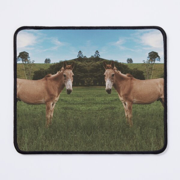 Item preview, Donkey - Animal designed and sold by anafrancisconi.