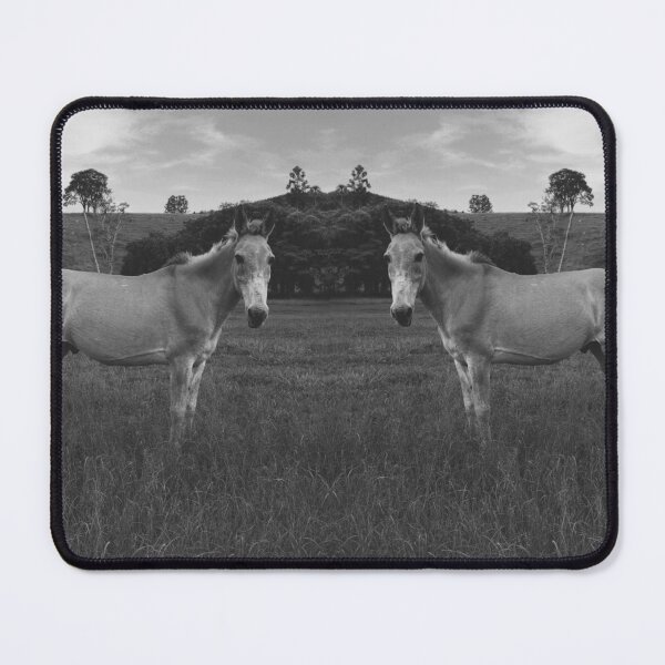 Item preview, Donkey - Animal designed and sold by anafrancisconi.