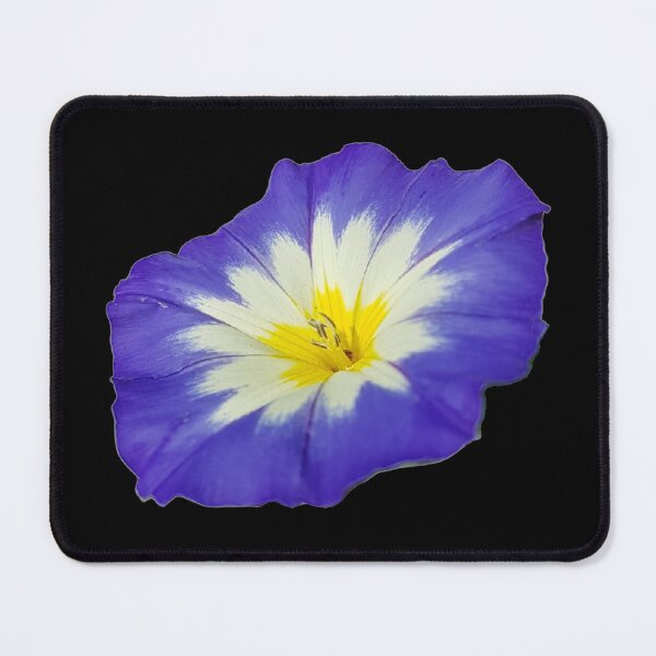 Item preview, Beautiful blue and yellow primrose  designed and sold by Steph-draws.