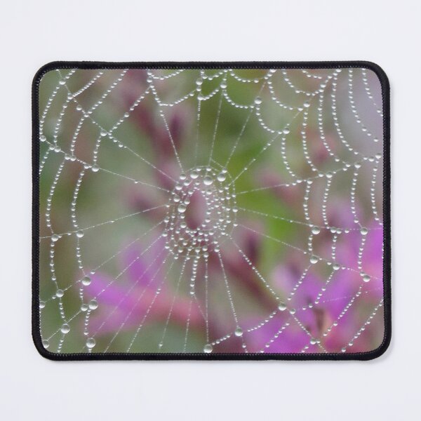 Item preview, Colorful Spider's Web Close-up designed and sold by Sam Morrison.