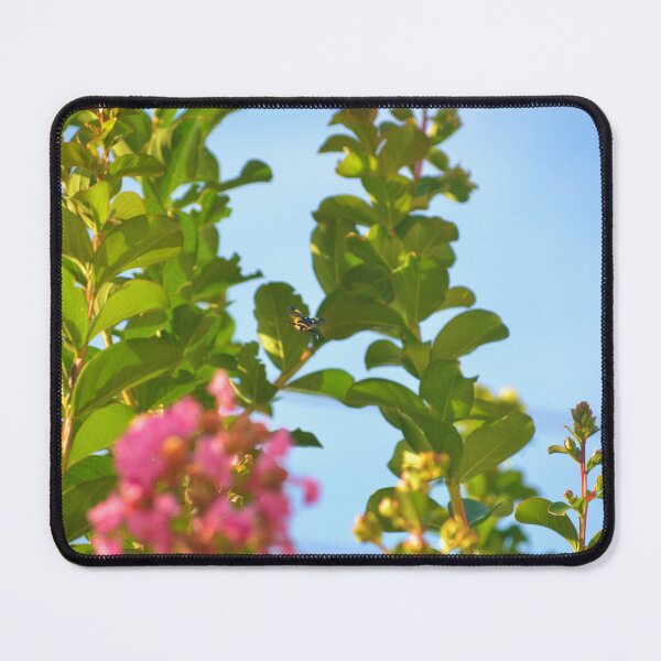 Item preview, Nature designed and sold by anafrancisconi.