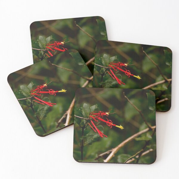 Item preview, rlb rooster tails designed and sold by pcfyi.