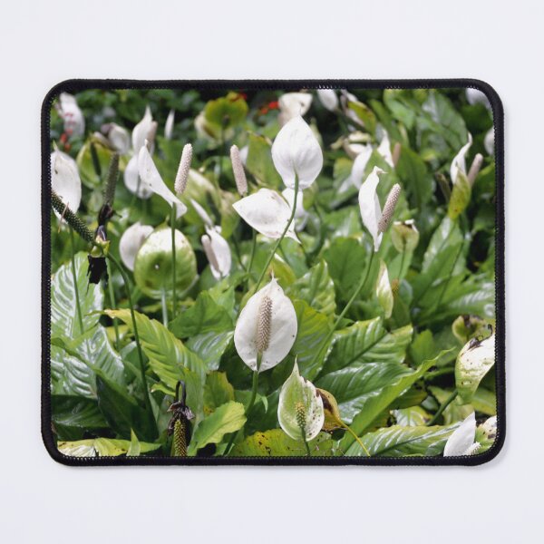 Item preview, Flowers designed and sold by anafrancisconi.