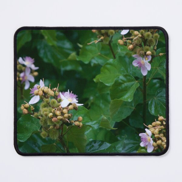 Item preview, Nature designed and sold by anafrancisconi.