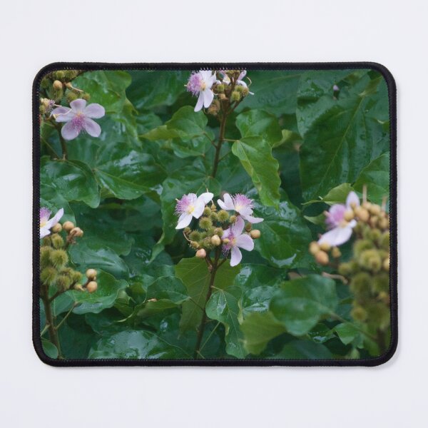 Item preview, Nature designed and sold by anafrancisconi.