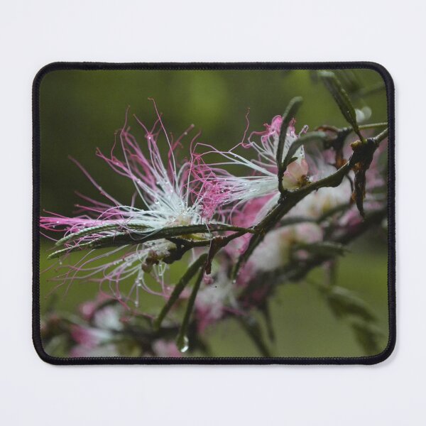 Item preview, Nature designed and sold by anafrancisconi.