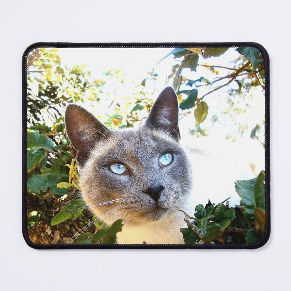 Item preview, Siamese Cat in Tree designed and sold by misimichu.