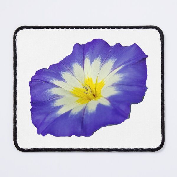 Item preview, Beautiful blue and yellow primrose white  designed and sold by Steph-draws.