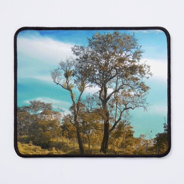Item preview, Tree designed and sold by anafrancisconi.
