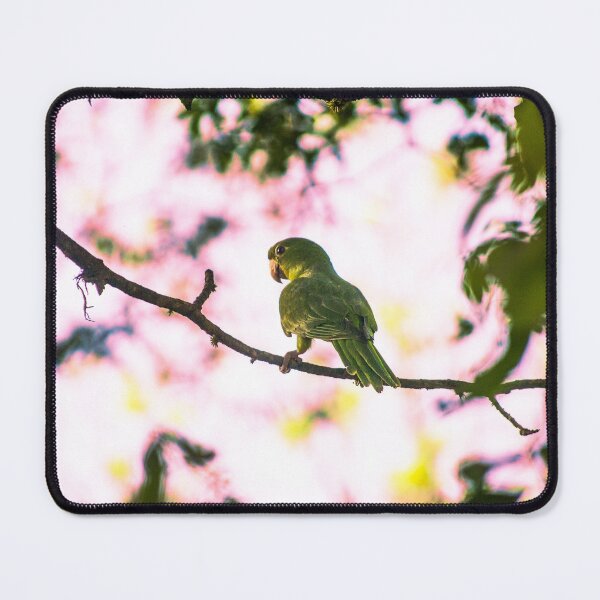 Item preview, Bird designed and sold by anafrancisconi.