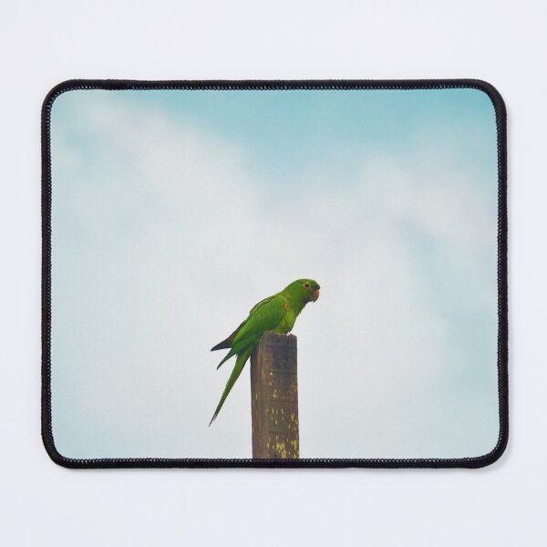 Item preview, Bird designed and sold by anafrancisconi.
